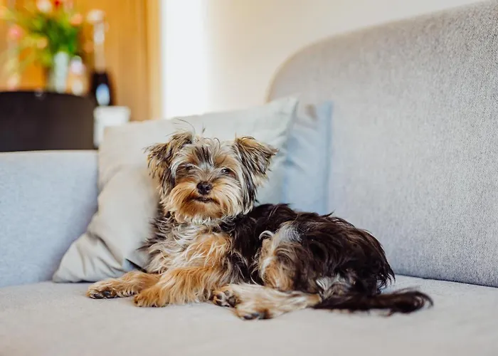 Jp - Karpatia Resort, Mysliwska 5e *